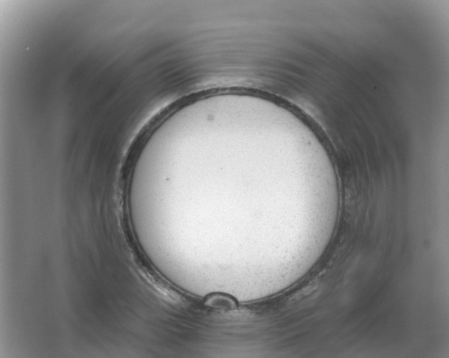 X0000066951119200604142042