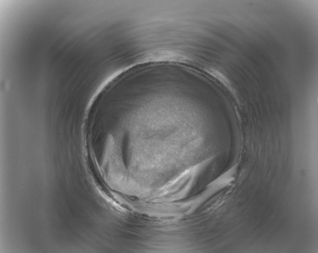 X0000066951120200604142042