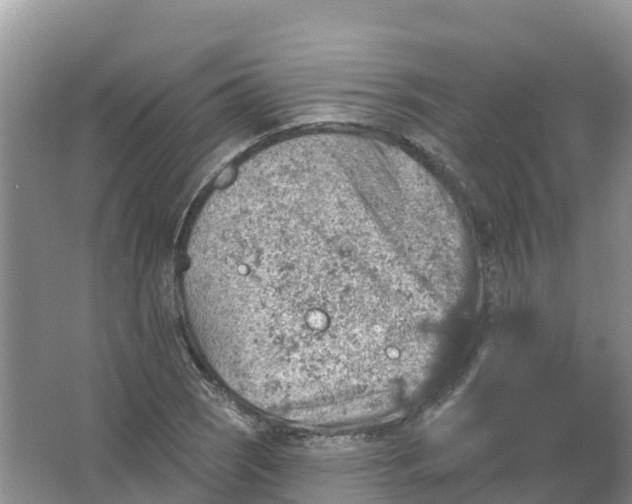 X0000066951121200604142042