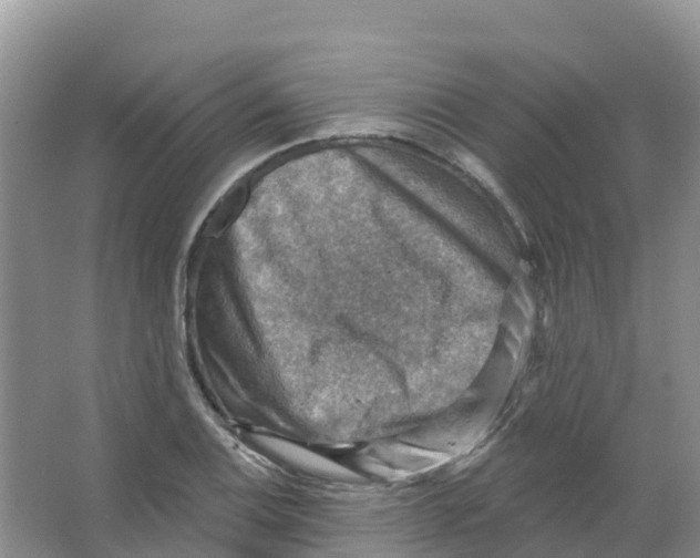 X0000066951124200604142042