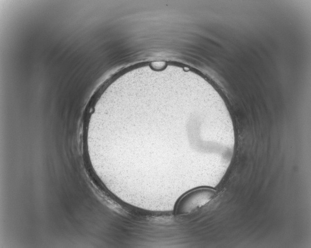 X0000066951126200604142042