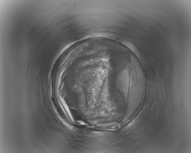 X0000066951127200604142042