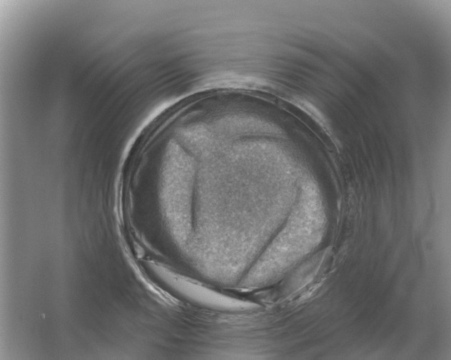 X0000066951128200604142042