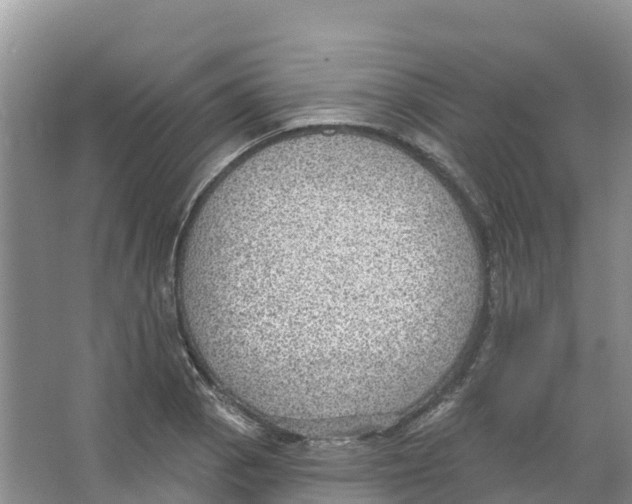 X0000066951129200604142042