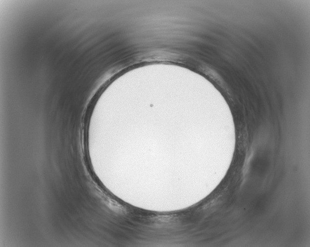 X0000066951130200604142042