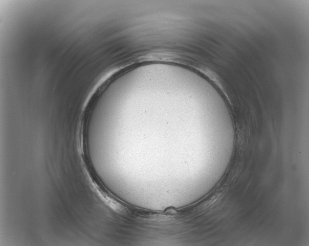 X0000066951131200604142042