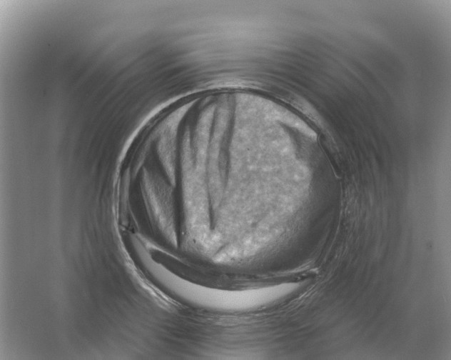 X0000066951132200604142042