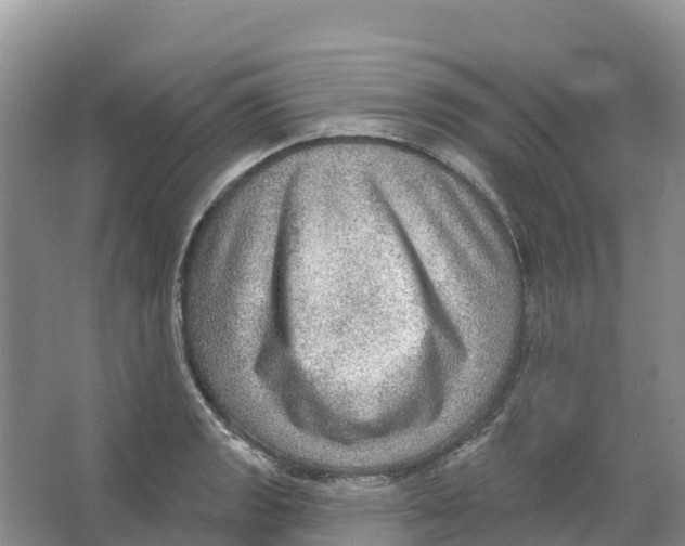 X0000066951133200604142042