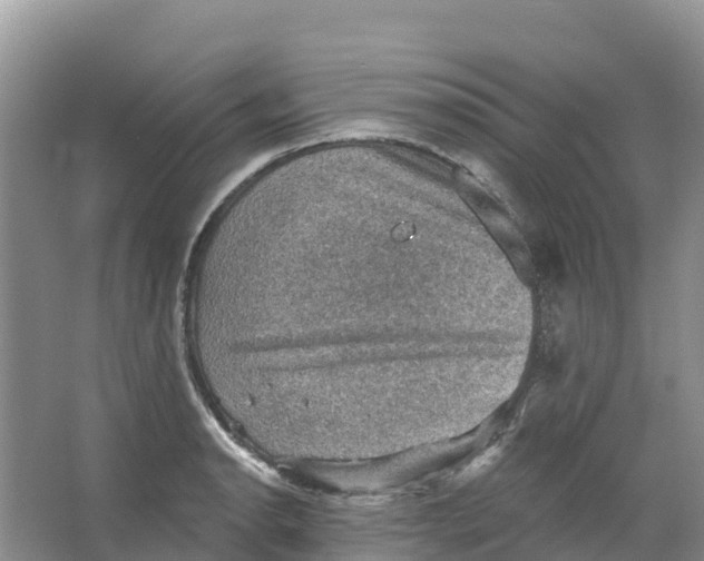 X0000066951134200604142042