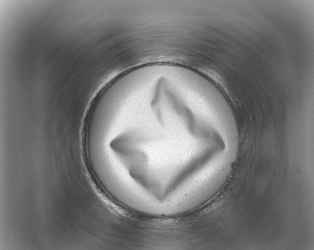 X0000066951135200604142042