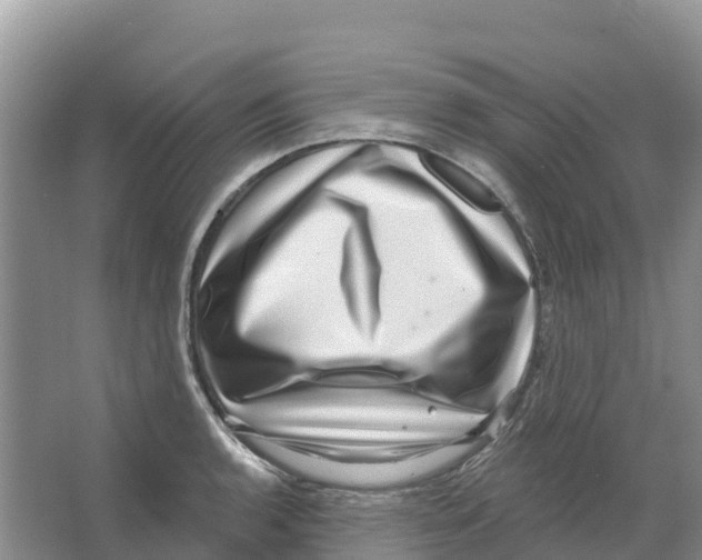 X0000066951136200604142042