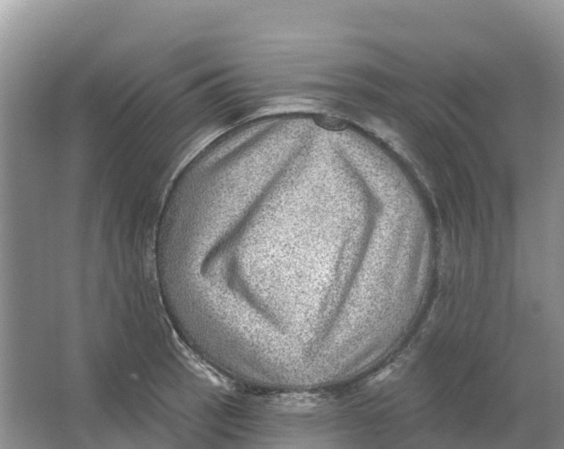 X0000066951137200604142042