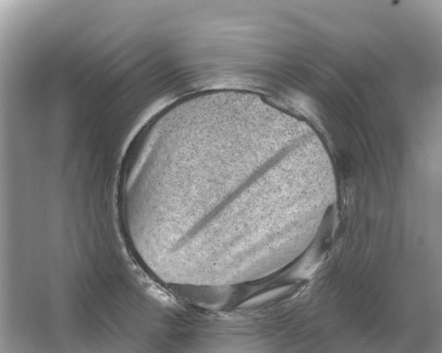 X0000066951138200604142042