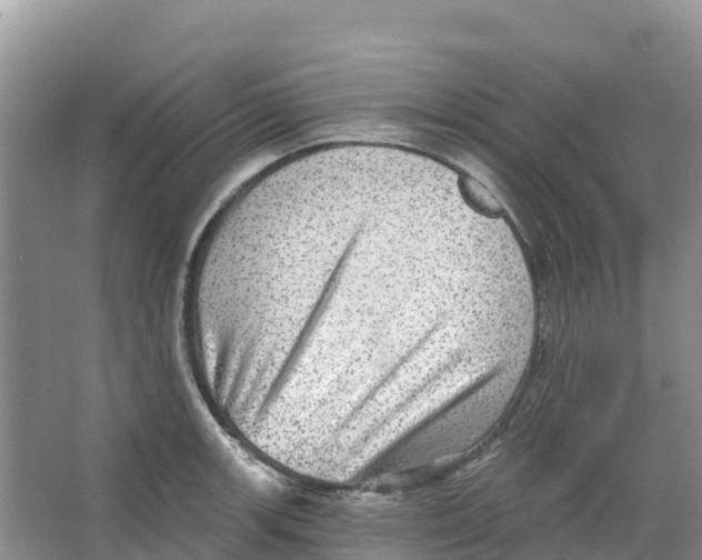 X0000066951139200604142042