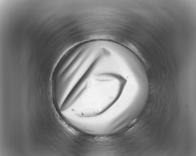 X0000066951140200604142042