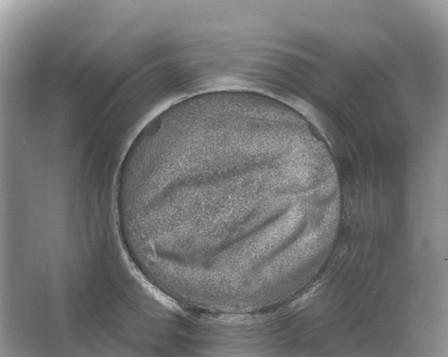 X0000066951142200604142043