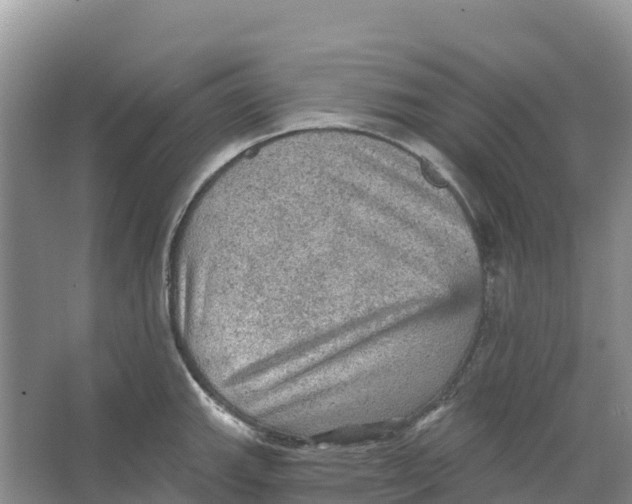 X0000066951143200604142043