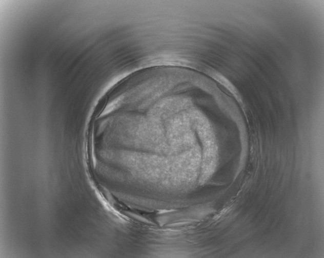 X0000066951144200604142043