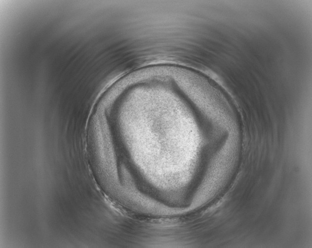 X0000066951145200604142043