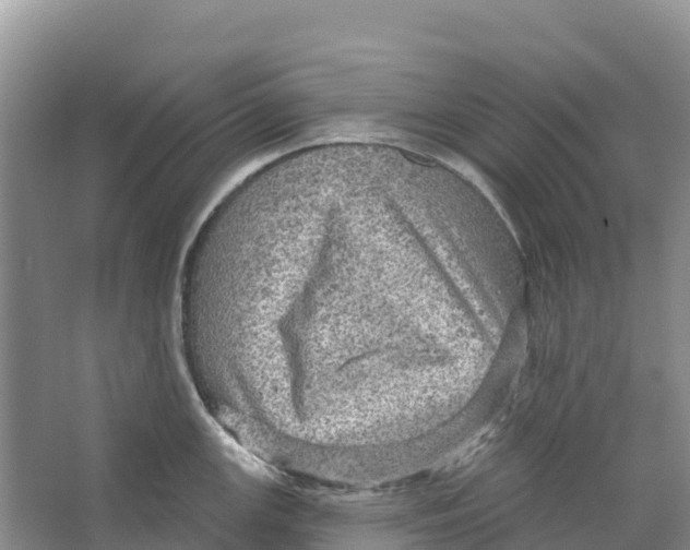 X0000066951147200604142043