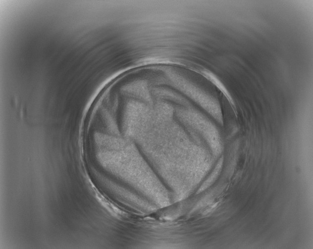 X0000066951148200604142043