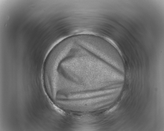 X0000066951149200604142043