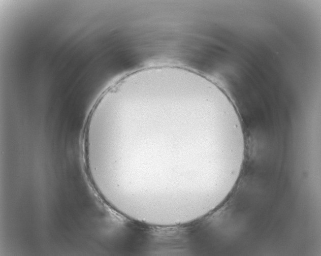 X0000066951150200604142043