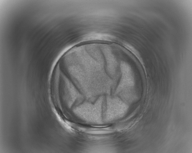 X0000066951152200604142043