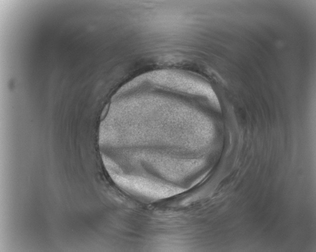 X0000066951153200604142042