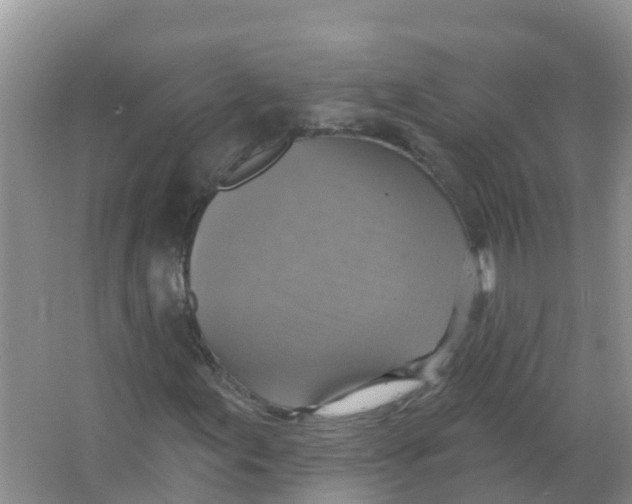 X0000066951155200604142042