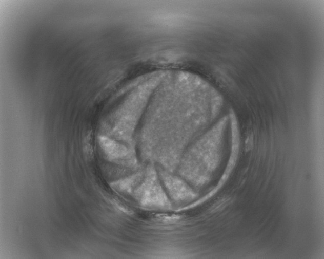 X0000066951156200604142042