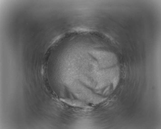 X0000066951157200604142042