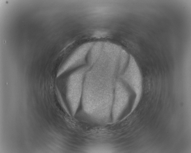 X0000066951158200604142042