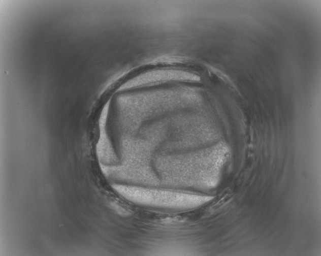 X0000066951160200604142042