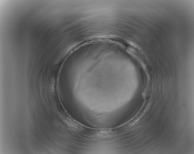 X0000066951161200604142042