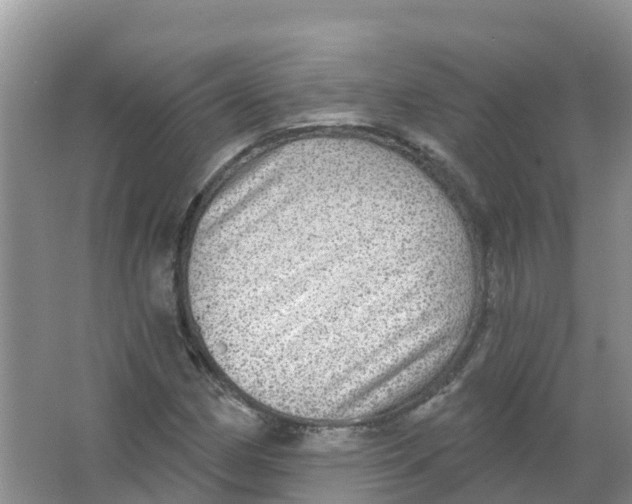 X0000066951162200604142042