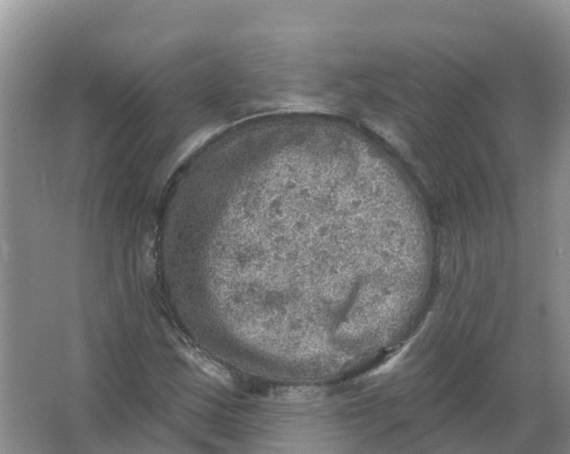 X0000066951163200604142042