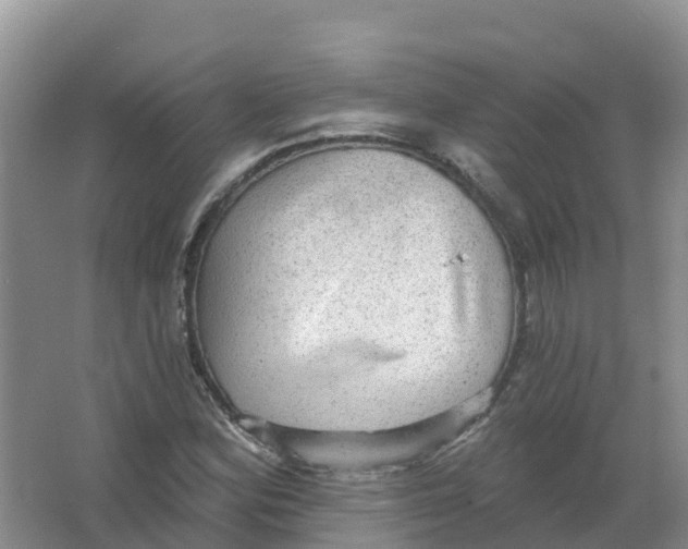 X0000066951164200604142042