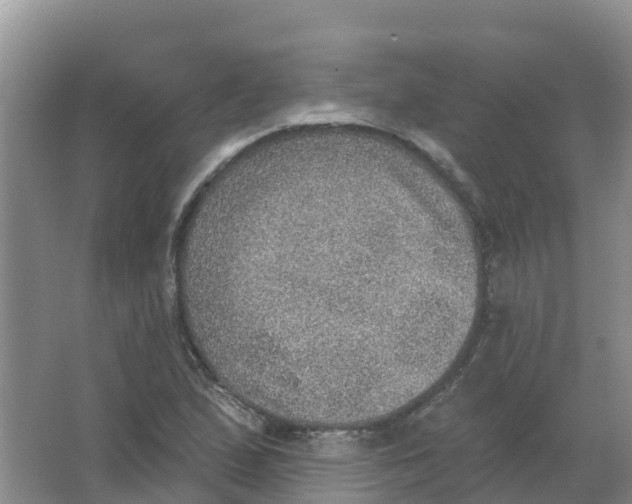 X0000066951167200604142042