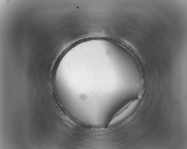 X0000066951168200604142042