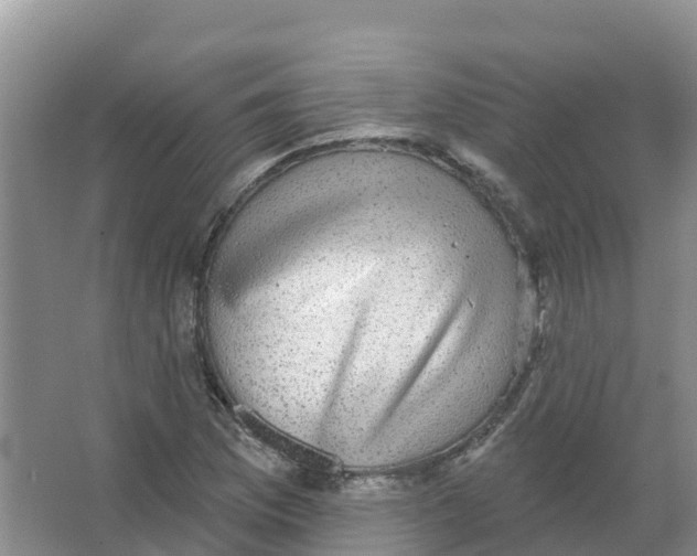 X0000066951169200604142042