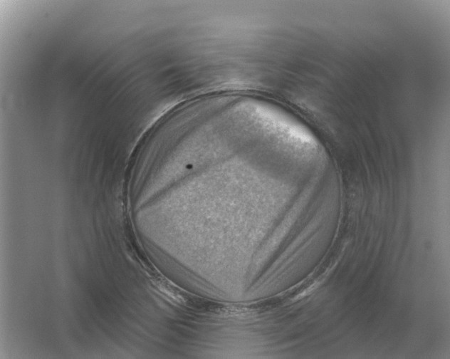 X0000066951170200604142042