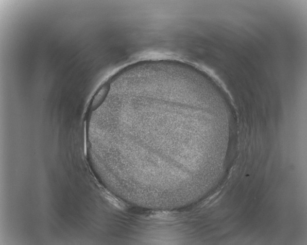 X0000066951175200604142042