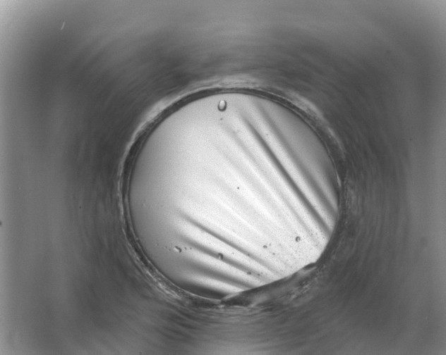 X0000066951176200604142042