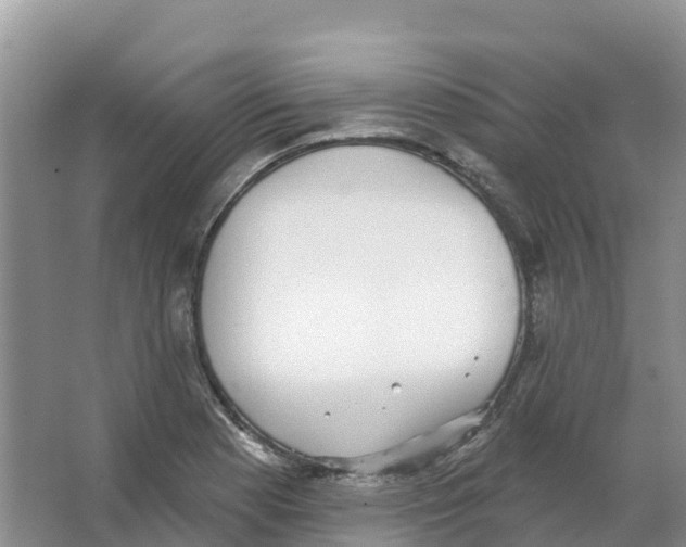 X0000066951177200604142041