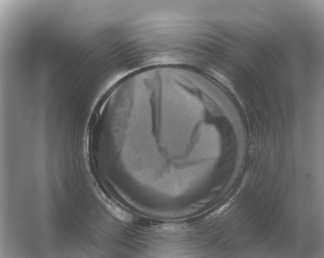 X0000066951179200604142041