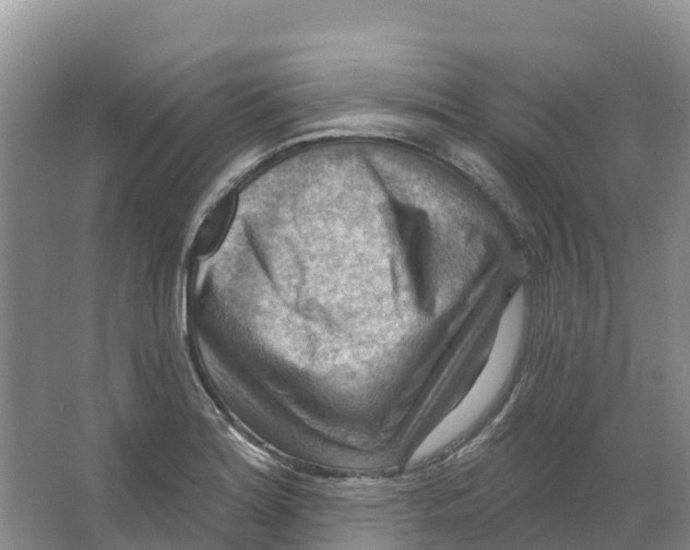 X0000066951180200604142041