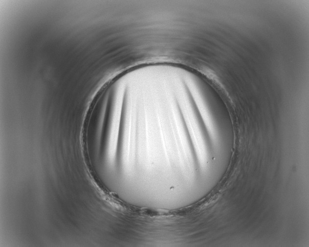 X0000066951181200604142041