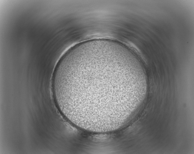 X0000066951182200604142041