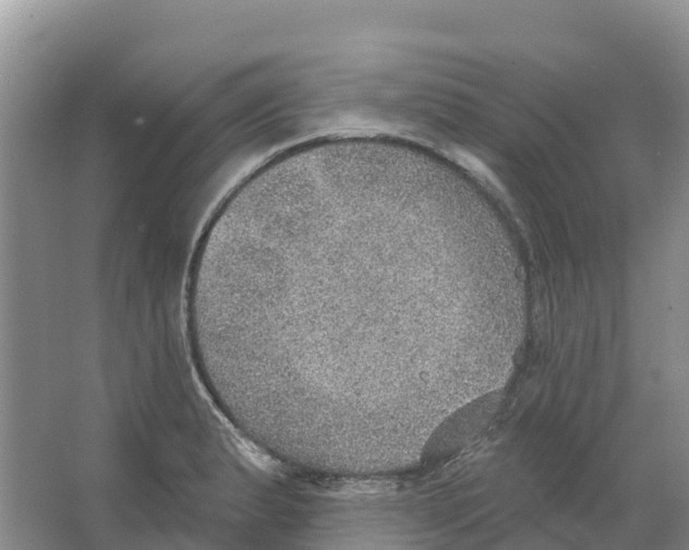 X0000066951183200604142041